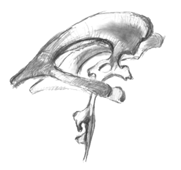 Cranio Logo von Wolfgang Rühle